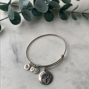 Alex and Ani unexpected miracles bracelet 2016